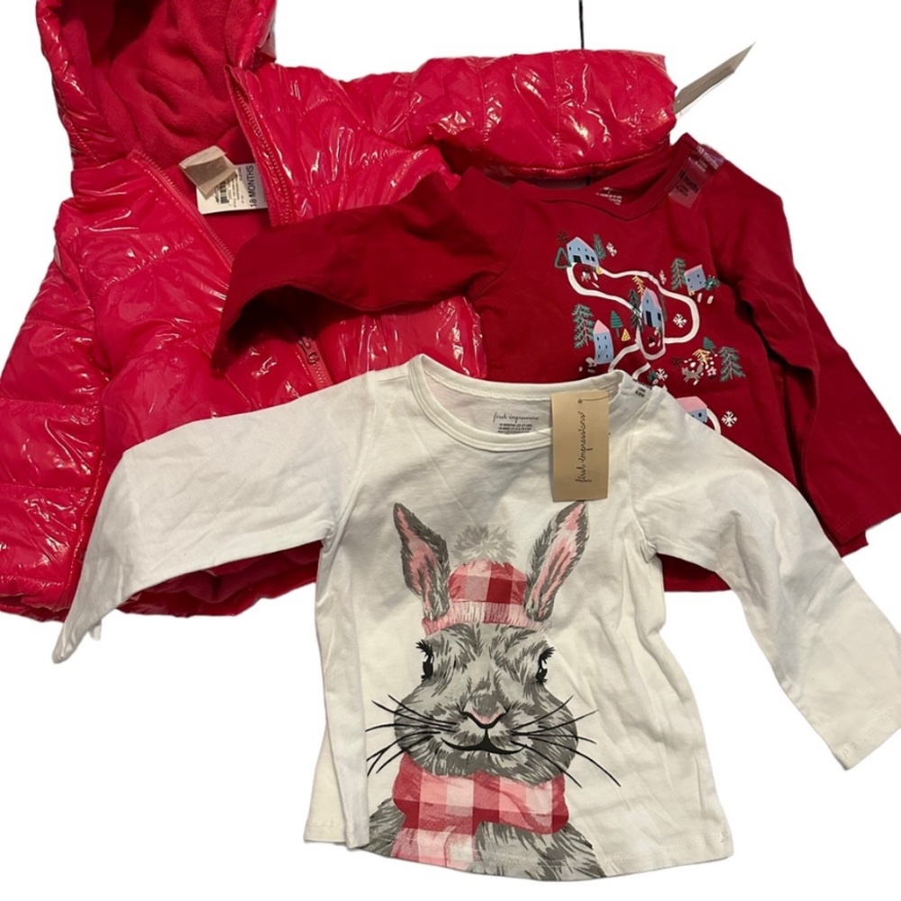 Bundle #16 Baby Girl 18 Mos 3 Piece NWT